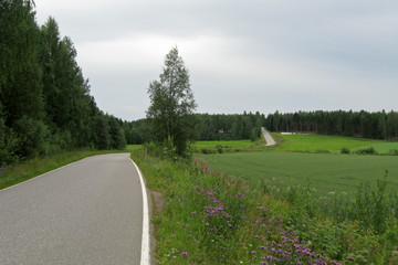 2502.jpg